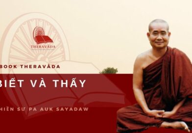 ÁNH SÁNG CỦA TUỆ – MỤC LỤC & GIỚI THIỆU – PA AUK SAYADAW